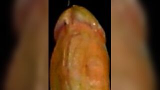 Cocking Fleshlight STU - porn video